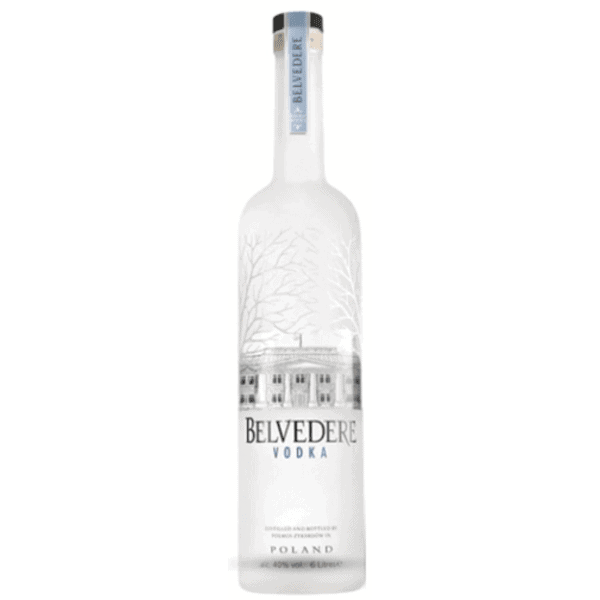 Vodka Grey Goose - 3L – Bottle of Italy